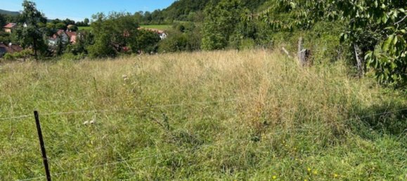 Terrain à Eichsfeld, Germany No. 155297 9