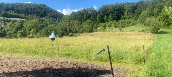 Terrain à Eichsfeld, Germany No. 155297 3