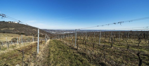 Terreno en Dobling, Austria No. 71465 9