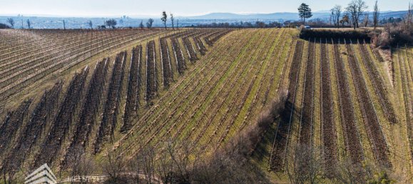 Terreno en Dobling, Austria No. 71465 2