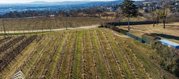 Terreno en Dobling, Austria No. 71465 5