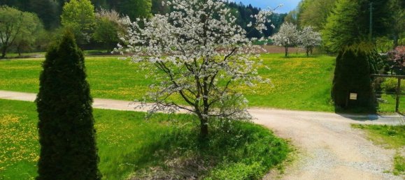 2-Zimmer Stadthaus in Forchheim, Germany, Nr. 267399 12