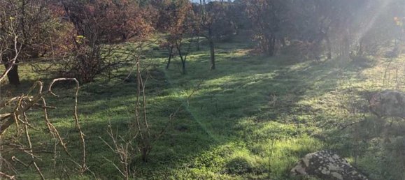 6غرفة فيلا في Bolognetta, Italy رقم 168253 10