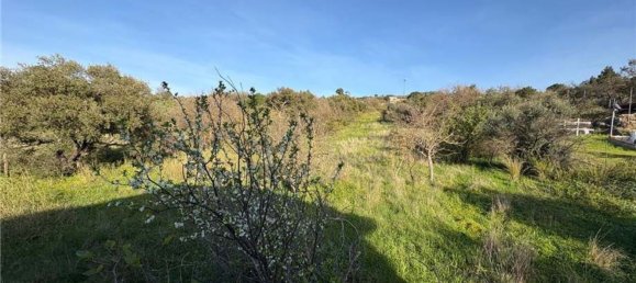 6غرفة فيلا في Bolognetta, Italy رقم 168253 5