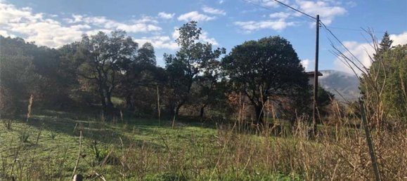 6غرفة فيلا في Bolognetta, Italy رقم 168253 8