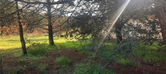 6غرفة فيلا في Bolognetta, Italy رقم 168253 7