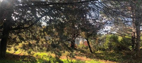 6غرفة فيلا في Bolognetta, Italy رقم 168253 9