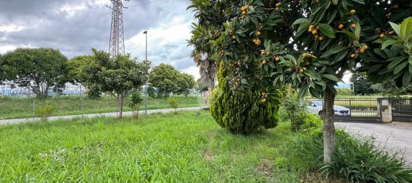 7غرفة منزل في Cittadella, Italy رقم 2077 4