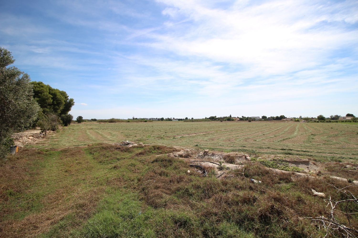 Terrain à Dolores, Spain 18793m² No. 245019