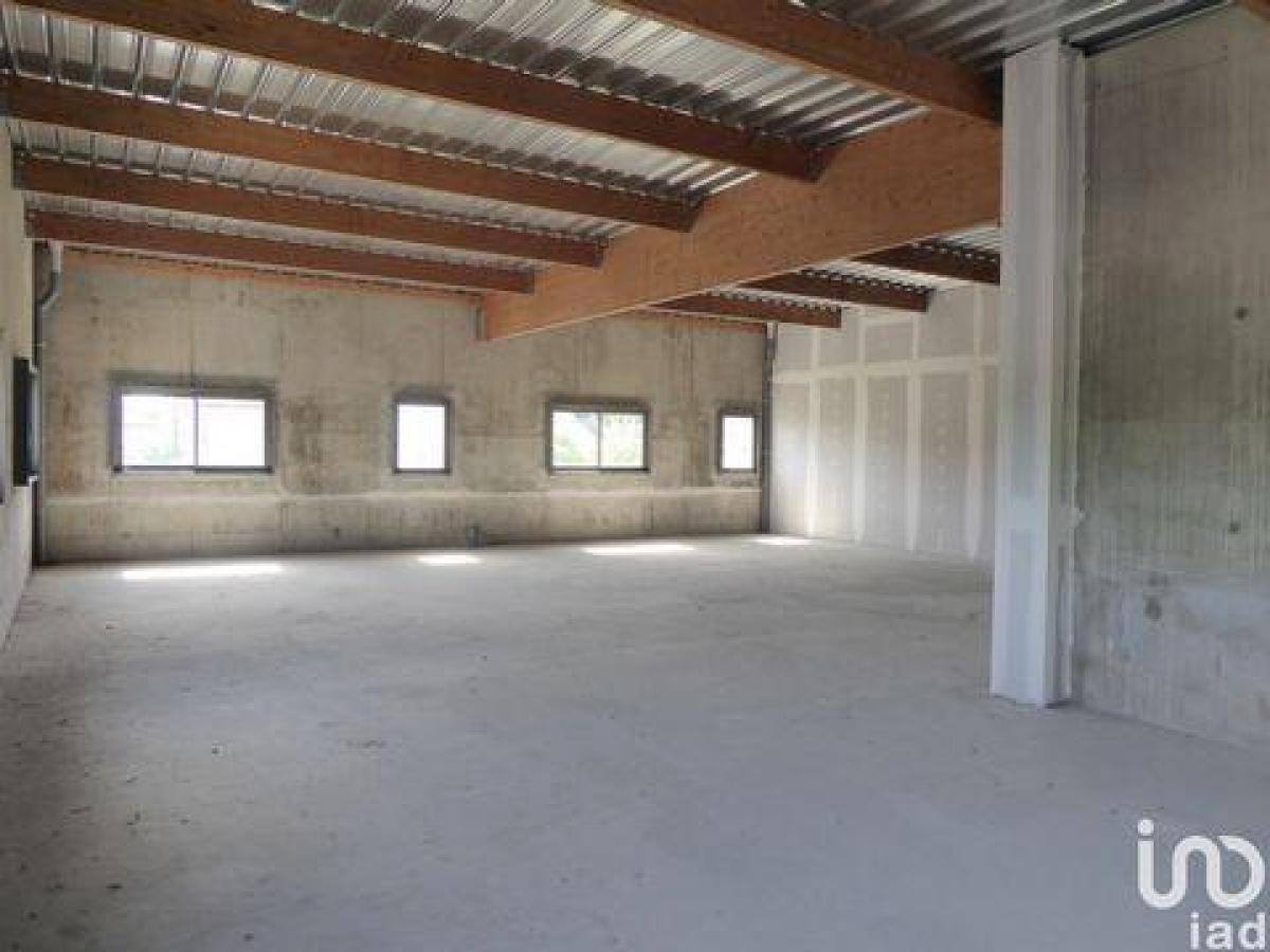 4 bedrooms Apartment in Orthez, France No. 7210