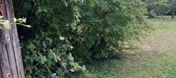 قطعة أرض في Stuttgart, Germany رقم 243708 2