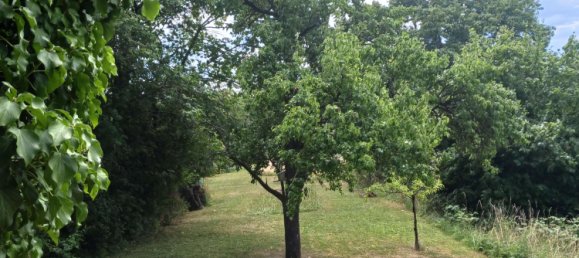 قطعة أرض في Stuttgart, Germany رقم 243708 5