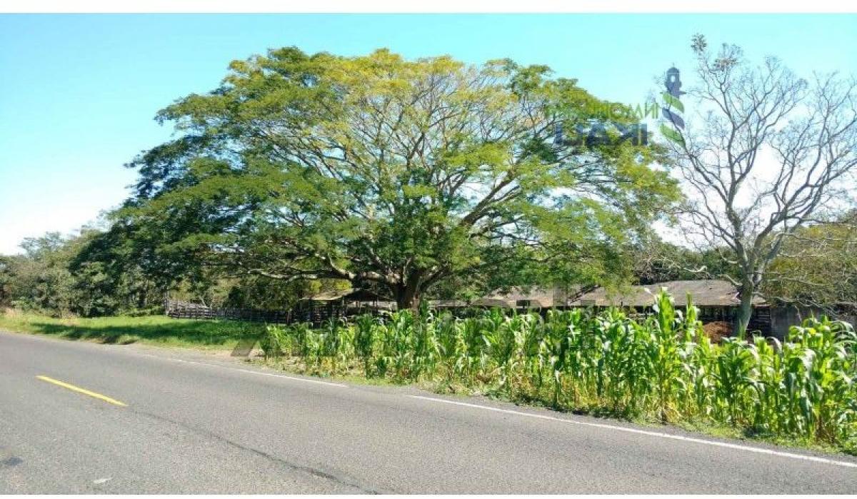 Terrain à Veracruz, Mexico No. 203594