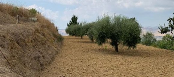 6500m² Land in Caltagirone, Italy No. 253799 7