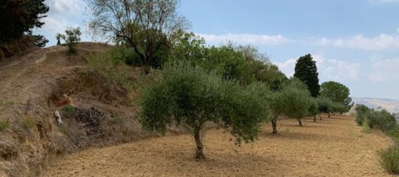 6500m² Land in Caltagirone, Italy No. 253799 8