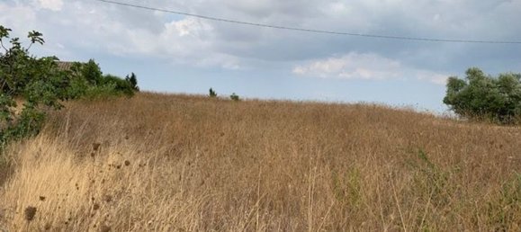 6500m² Land in Caltagirone, Italy No. 253799 5