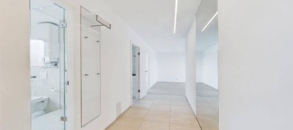 3-Zimmer Gewerbliche Immobilie in Leonding, Austria, Nr. 157031 4