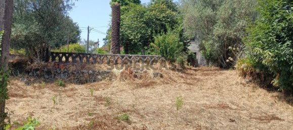 6 bedrooms House in Oliveira de Frades, Portugal No. 261854 28