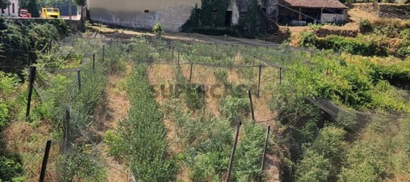 6 bedrooms House in Oliveira de Frades, Portugal No. 261854 2