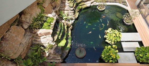 4 bedrooms Cafe / restaurant in Ko Samui, Thailand No. 7422 4