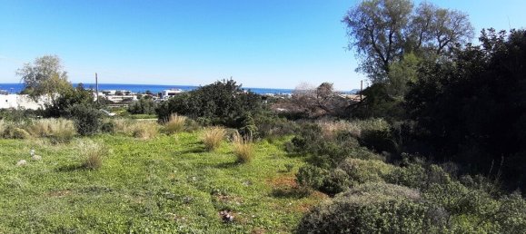 Terreno en Malia, Greece 24000 m² No. 92600 2
