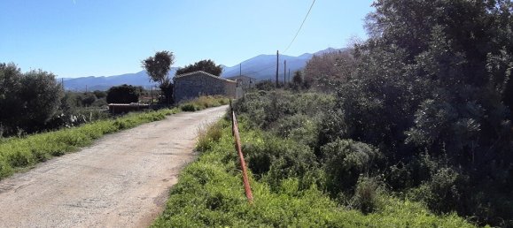 Terreno en Malia, Greece 24000 m² No. 92600 8