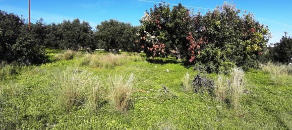 Terreno en Malia, Greece 24000 m² No. 92600 5