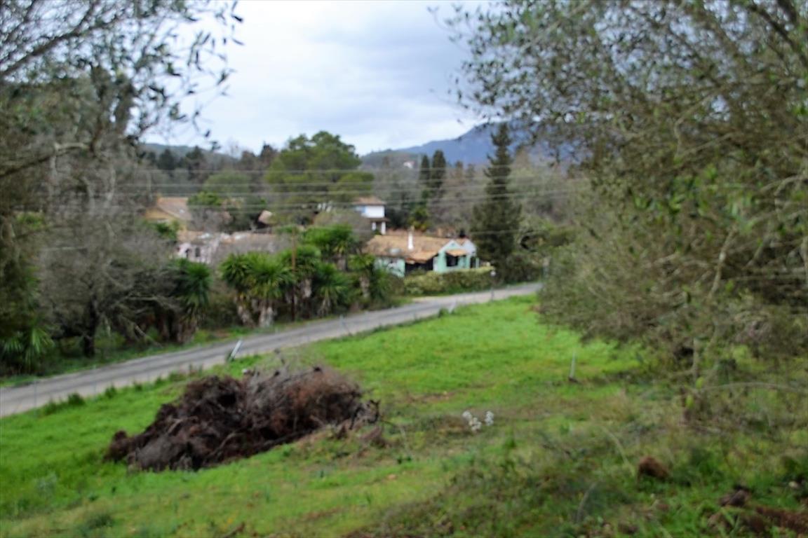 5200m² Hotel in Corfu, Greece No. 5219