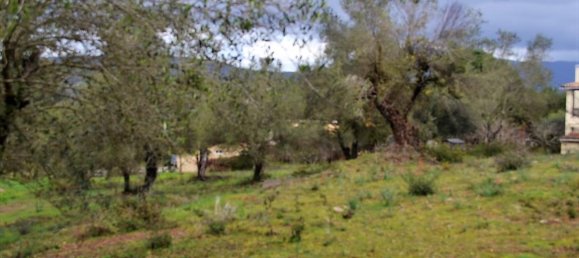 5200m² Hotel in Corfu, Greece No. 5219 8