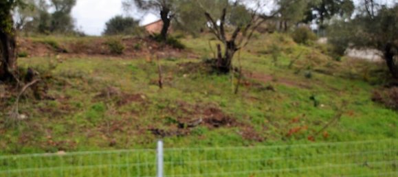 5200m² Hotel in Corfu, Greece No. 5219 6