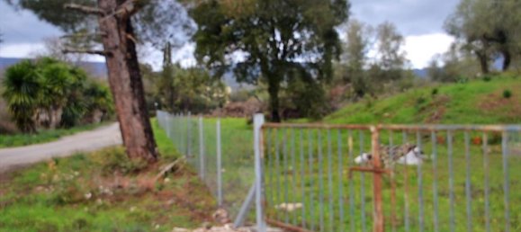 5200m² Hotel in Corfu, Greece No. 5219 4