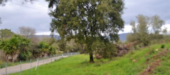 5200m² Hotel in Corfu, Greece No. 5219 7