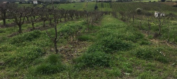 7280m² Land in Torres Vedras, Portugal No. 87825 20