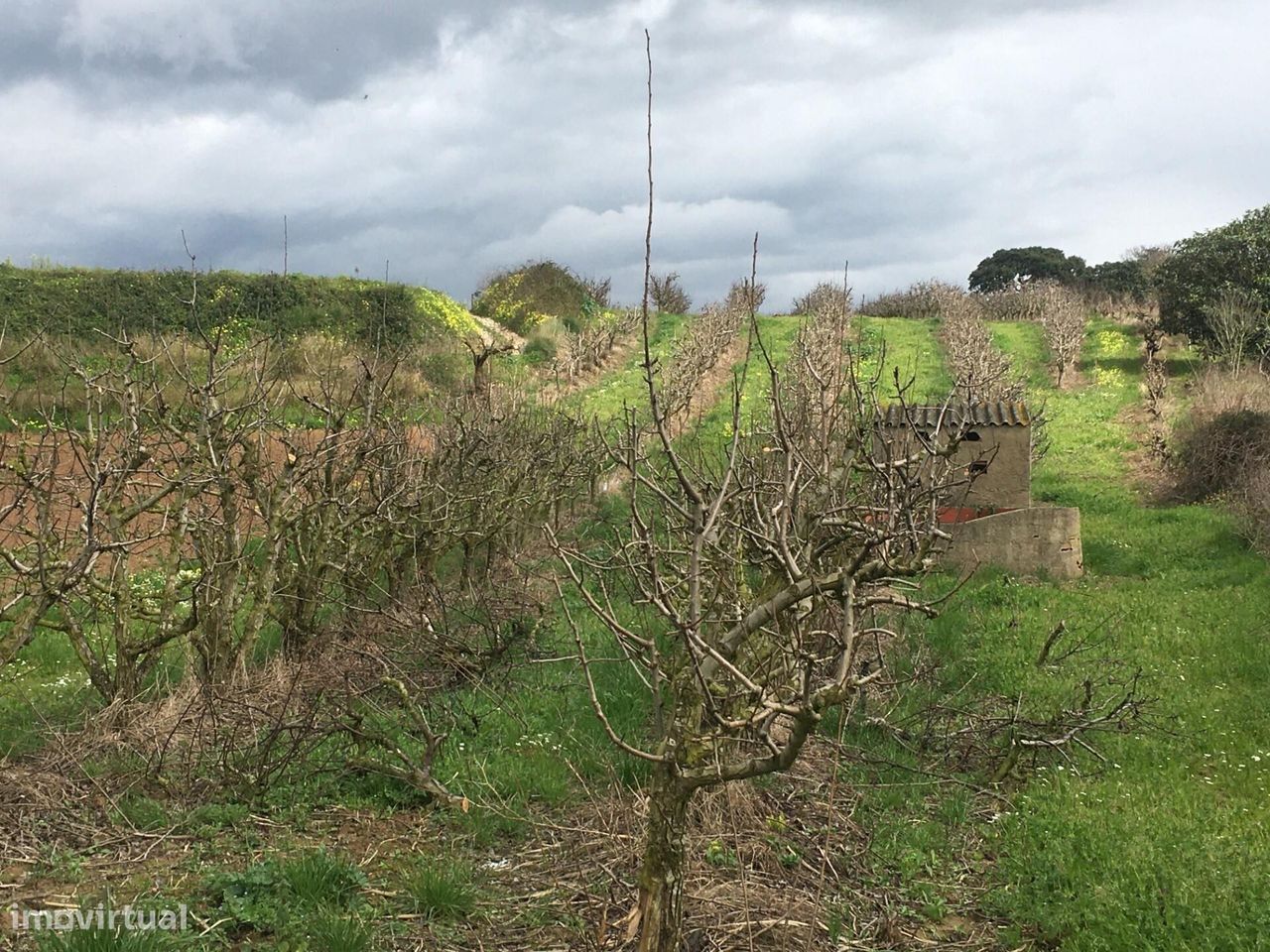 7280m² Land in Torres Vedras, Portugal No. 87825