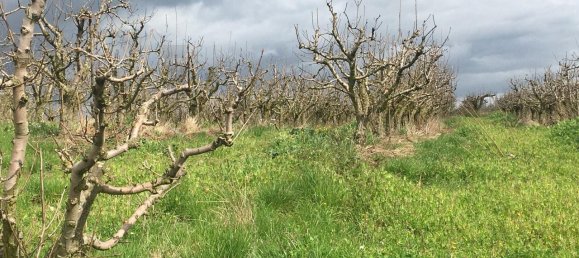 7280m² Land in Torres Vedras, Portugal No. 87825 10