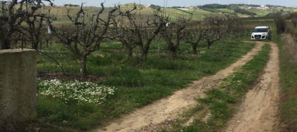 7280m² Land in Torres Vedras, Portugal No. 87825 21