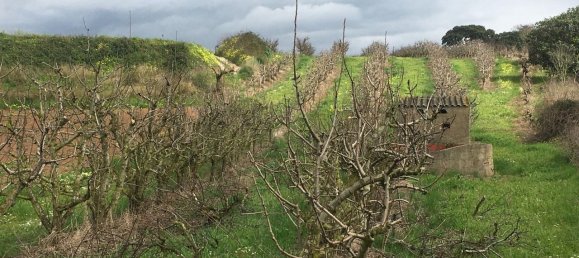 7280m² Land in Torres Vedras, Portugal No. 87825 5