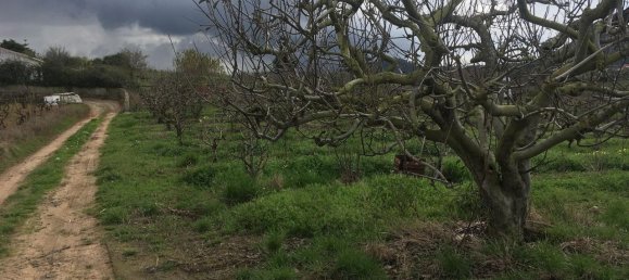 7280m² Land in Torres Vedras, Portugal No. 87825 18