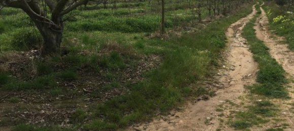 7280m² Land in Torres Vedras, Portugal No. 87825 17