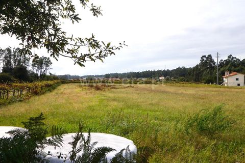  قطعة أرض في Barcelos, Portugal رقم 202297