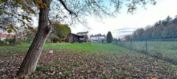 7-Zimmer Haus in Großwarasdorf, Austria, Nr. 201671 14