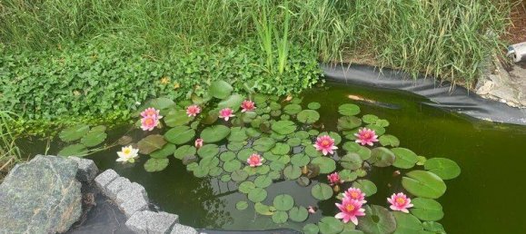 7-Zimmer Haus in Großwarasdorf, Austria, Nr. 201671 18