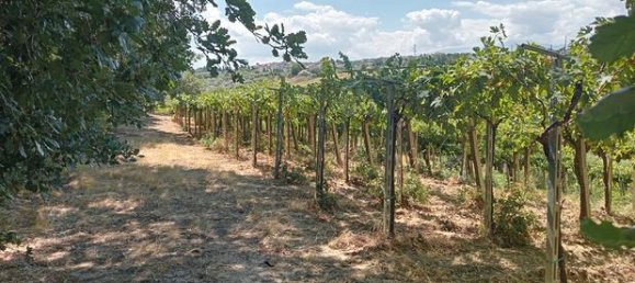 17510m² Land in Casalbordino, Italy No. 267282 3