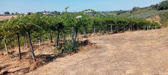 17510m² Land in Casalbordino, Italy No. 267282 2