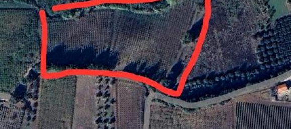 17510m² Land in Casalbordino, Italy No. 267282 6