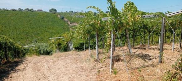 17510m² Land in Casalbordino, Italy No. 267282 5