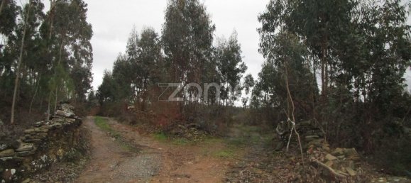 Grundstück in Vila Nova de Famalicao, Portugal 15500m², Nr. 35734 4