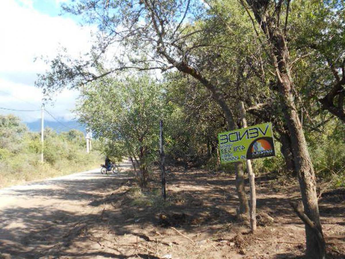  قطعة أرض في San Luis, Argentina رقم 48275