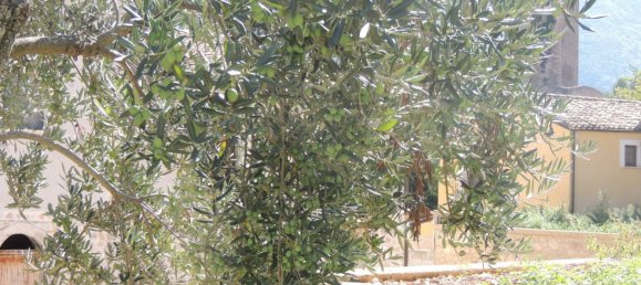 10 rooms House in Introdacqua, Italy No. 80488 8