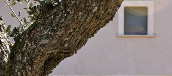 10 rooms House in Introdacqua, Italy No. 80488 16